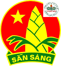 Chương trình đại hội chi đội
